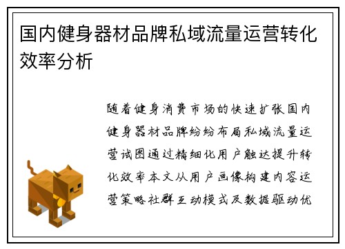 国内健身器材品牌私域流量运营转化效率分析
